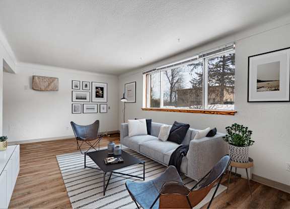 A living room with a grey couch, a black coffee table, and a striped rug.