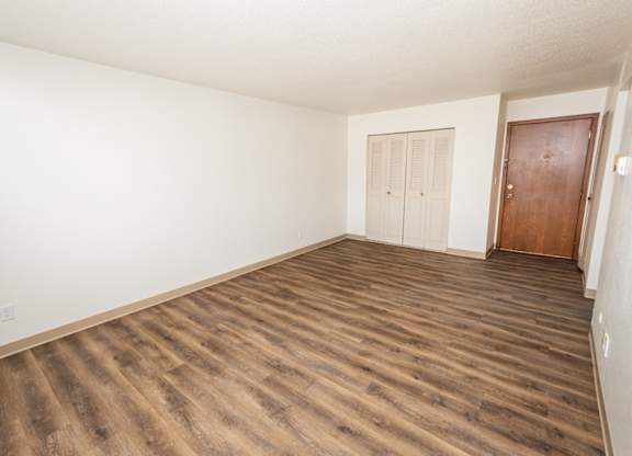 A room with a wooden floor and a brown door.