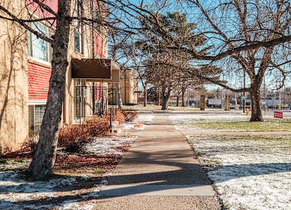 A tree-lined walkway in front of a building with snow on the ground.