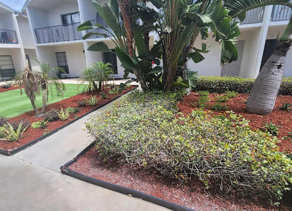 A landscaped courtyard with a tree and shrubs.
