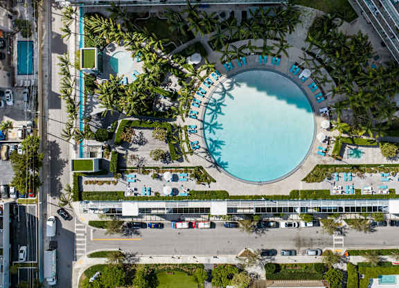 An aerial view of a pool surrounded by palm trees and lounge chairs.