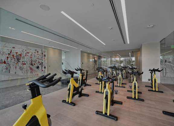 A gym with a row of stationary bikes.