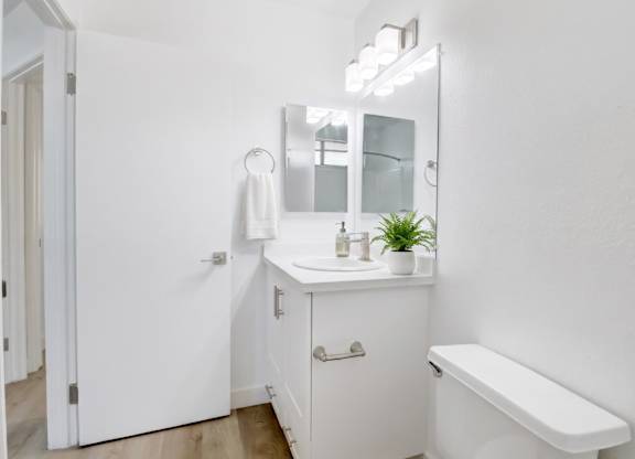 A white bathroom with a mirror, sink, and a plant.
