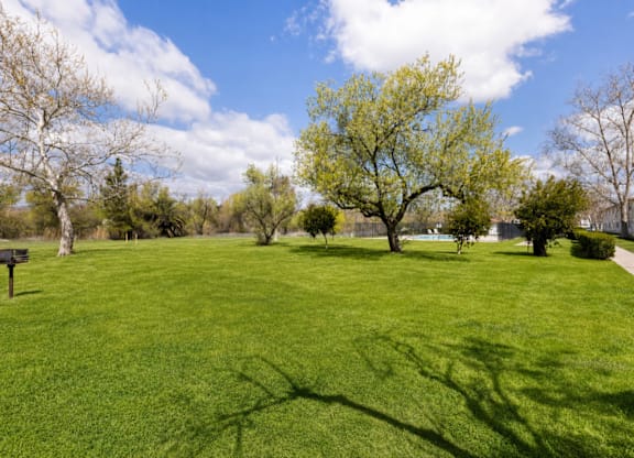 A green field with trees and a sign in the distance.