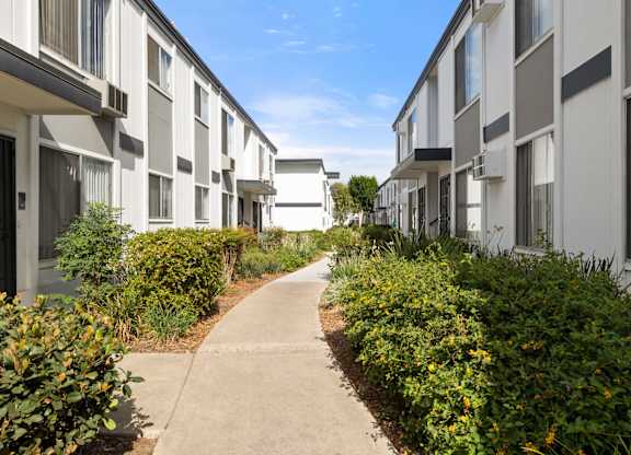 A row of white houses with a concrete pathway in the middle.