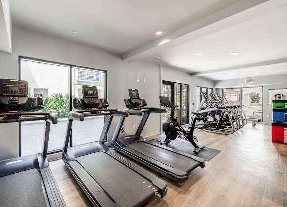 A gym with treadmills and exercise equipment.