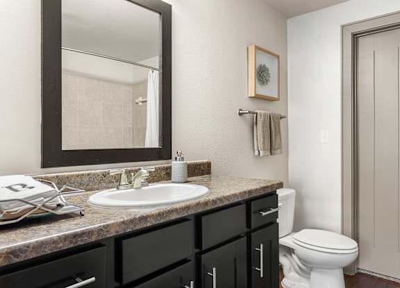 A bathroom with a sink, toilet, and a mirror.