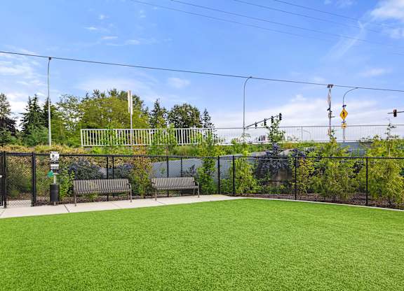 A green field with a fence and a bench.
