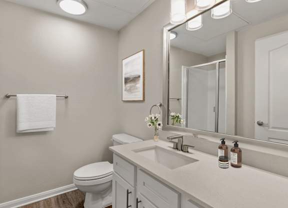 A bathroom with a toilet, sink, and mirror.