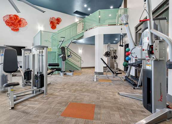 A gym with a variety of equipment including a treadmill, weights, and a bench press.