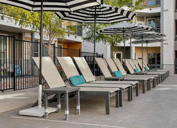 A row of sun loungers are arranged in a row under umbrellas.