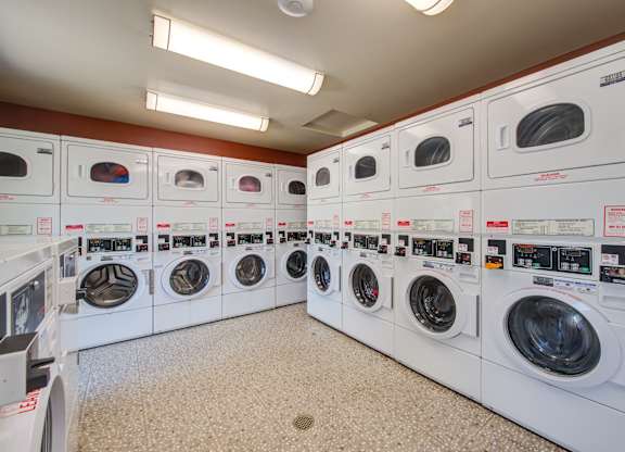 A row of washing machines in a public laundromat.