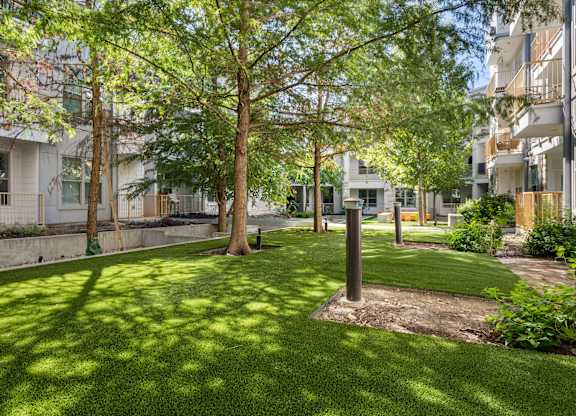 A sunny day in a park with green grass and trees.