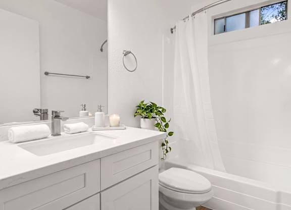 A white bathroom with a toilet, sink, and a plant.