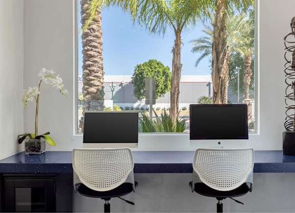 Two computer monitors are on a desk with a view of palm trees outside the window.