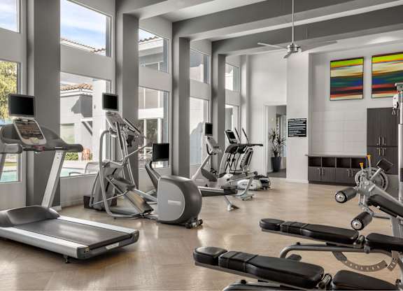 A gym with treadmills, exercise bikes, and other equipment.