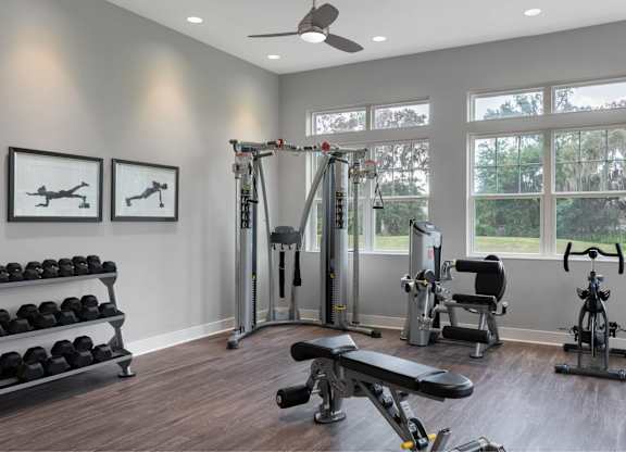 A home gym with a variety of equipment including a bench, weights, and a treadmill.