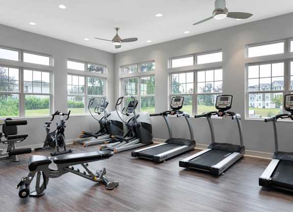 A gym with treadmills, exercise bikes, and other equipment.