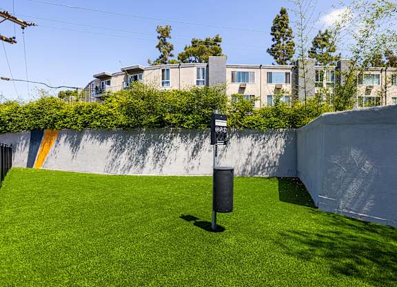 A small backyard with a green lawn and a wall with a yellow stripe.