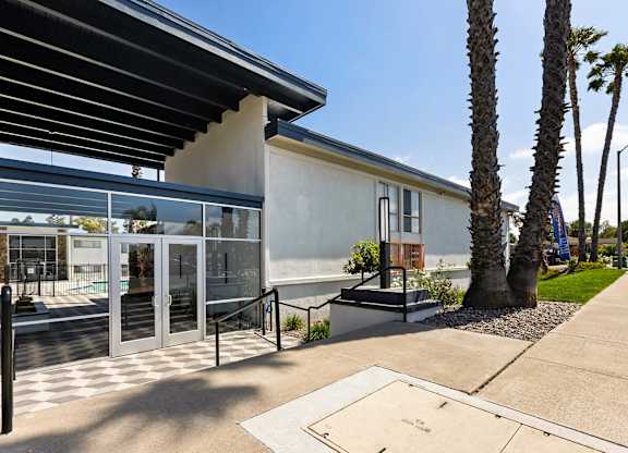 A modern building with a glass entrance and a palm tree in front.