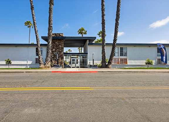 A building with a palm tree in front of it.