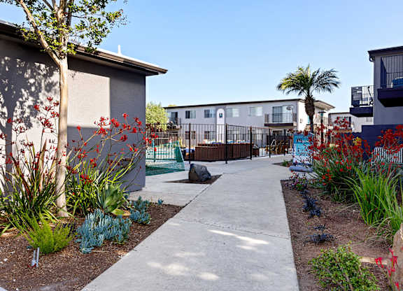 A concrete walkway leads through a garden with a variety of plants and shrubs.
