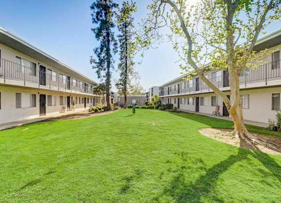 A tree in a courtyard surrounded by buildings.