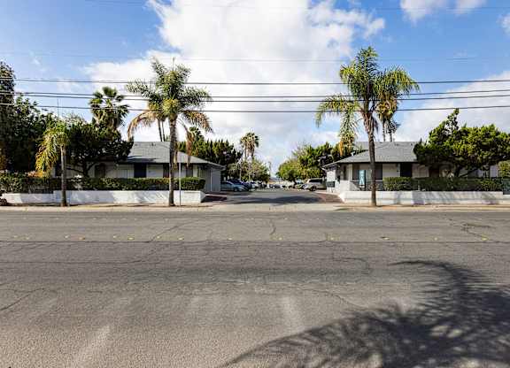 A street view with houses and palm trees.