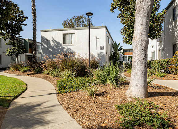 A tree in a landscaped area in front of a building.