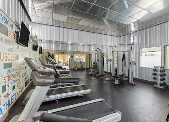 A gym with treadmills, weights and exercise equipment.
