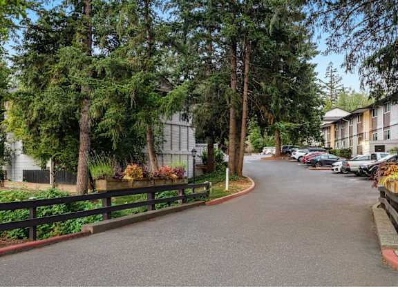 A tree-lined street with a bench and a fence.