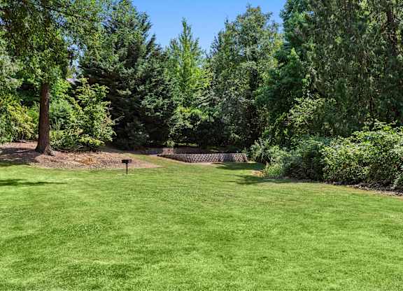 A lush green lawn surrounded by trees.