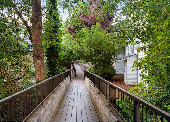 A wooden bridge leads through a lush green forest.