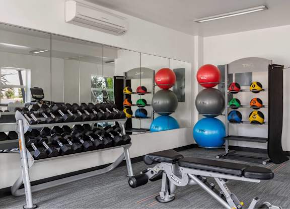 A gym with a mirror, weights, and exercise balls.