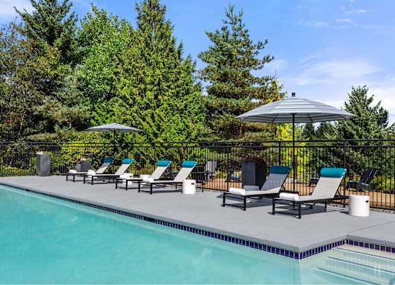 A pool surrounded by trees and chairs under an umbrella.