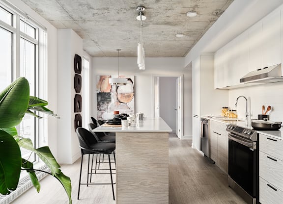 A modern kitchen with a dining area and a plant.