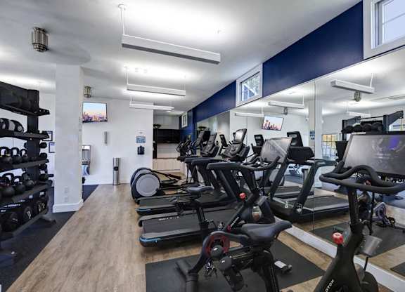 A gym with treadmills and exercise equipment.