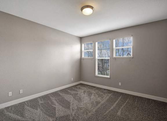 A room with a grey carpet and a window with blinds.