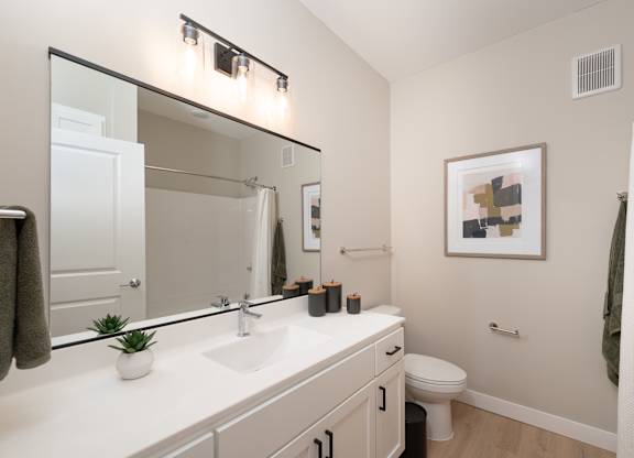 A bathroom with a white countertop and a mirror above it.