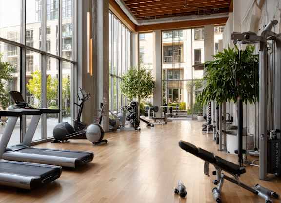 A gym with treadmills, weights and exercise balls.