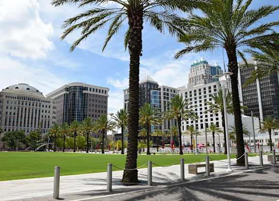 Palm trees in a park with modern buildings in the background.