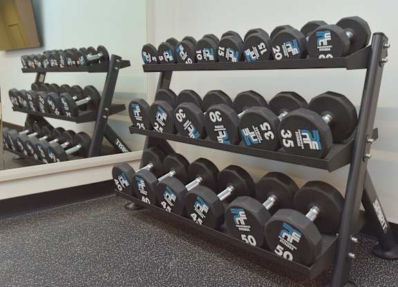 A set of dumbbells with weights ranging from 5 to 50 pounds are arranged on a rack at Roxy Apartments, Ontario, L8H 0B7