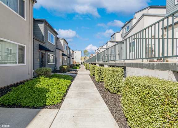 A row of houses with green bushes in front at Oak Center Apartments, Oakland