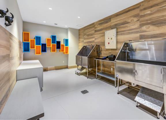 Pet Wash Center at Palma, Florida, 33166