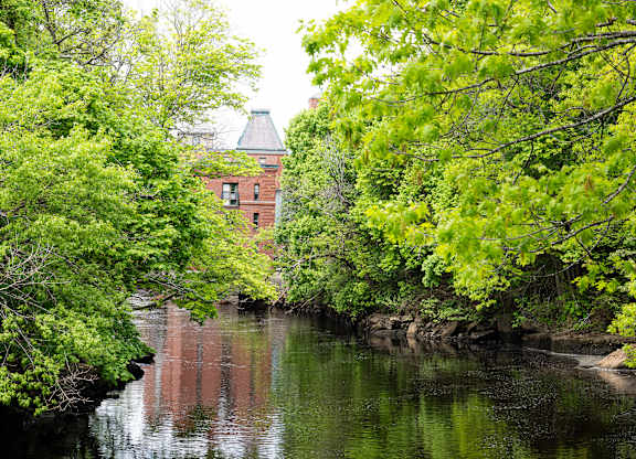 A building with a dome is surrounded by trees.