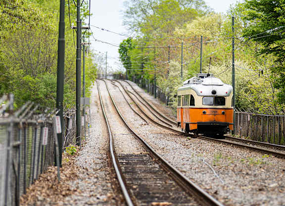 A train is on the tracks surrounded by trees.