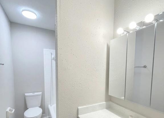 A bathroom with a toilet, sink and mirror.
