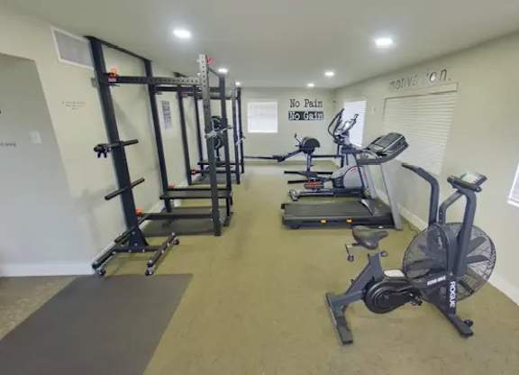 A gym room with a row of treadmills and elliptical machines.