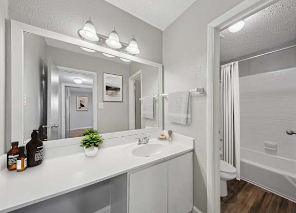 A bathroom with a white counter and a mirror above it.