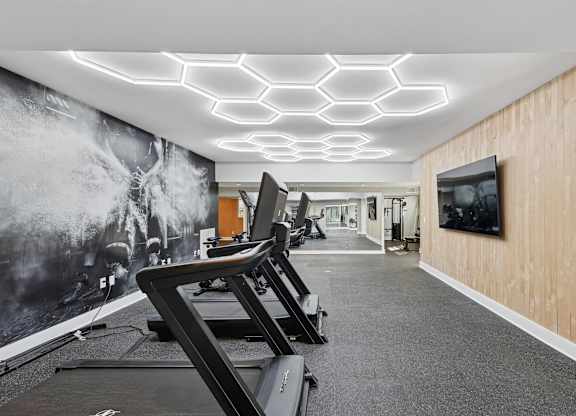 A gym with treadmills and a wall mural.